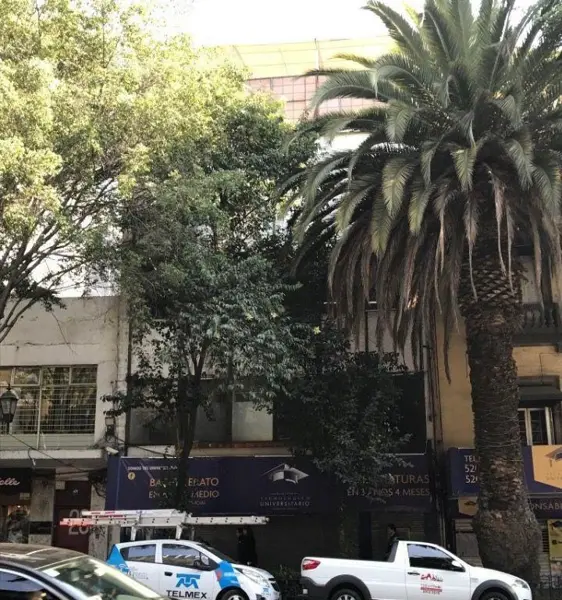 Renta de Edificio Sobre Calle Niza Col Juarez Cdmx — foto 1 de 5