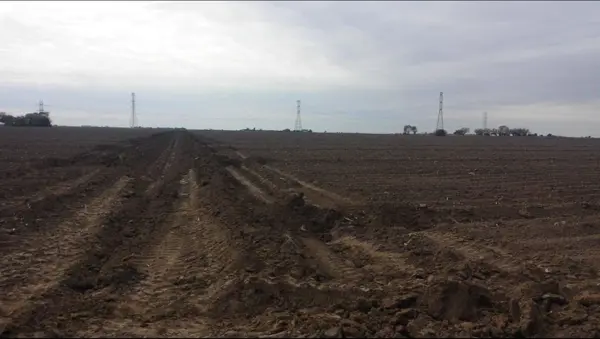 Terreno en venta en Rio Bravo Centro, Río Bravo — foto 2 de 6