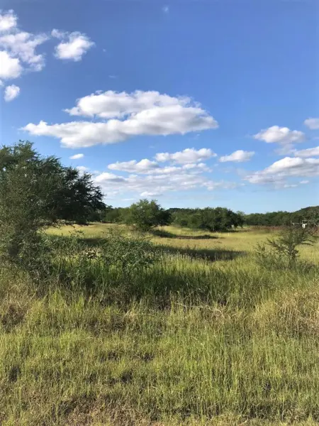 Terreno en venta en Montemorelos Centro, Montemorelos — foto 3 de 11
