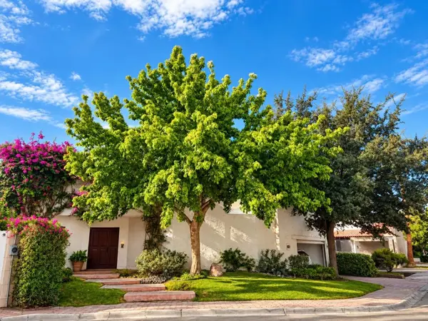 Casa en venta en San Luciano, Torreón — foto 2 de 11