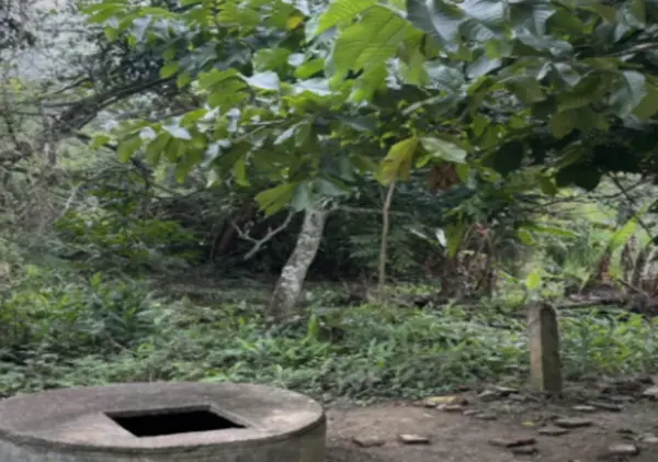 Terreno en venta en El Copalar, San Fernando — foto 3 de 3