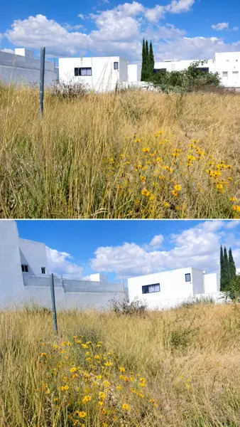 Terreno en venta — foto 1 de 3