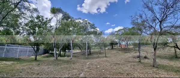 Misión Antigua, Cadereyta — foto 1 de 12