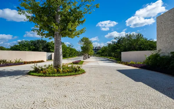 Terreno en venta en Santa Gertrudis Copo, Mérida — foto 3 de 8