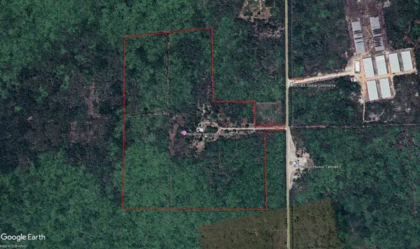 Finca-Rancho en venta en Hoctun, Hoctún — foto 3 de 18