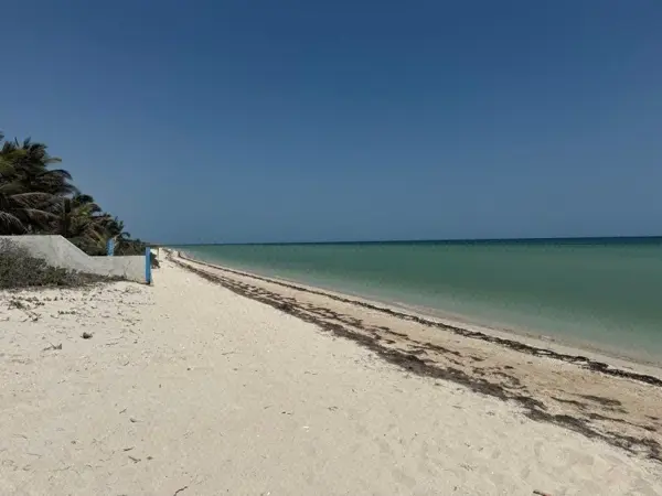 Terrenos en venta en San Benito — foto 1 de 6