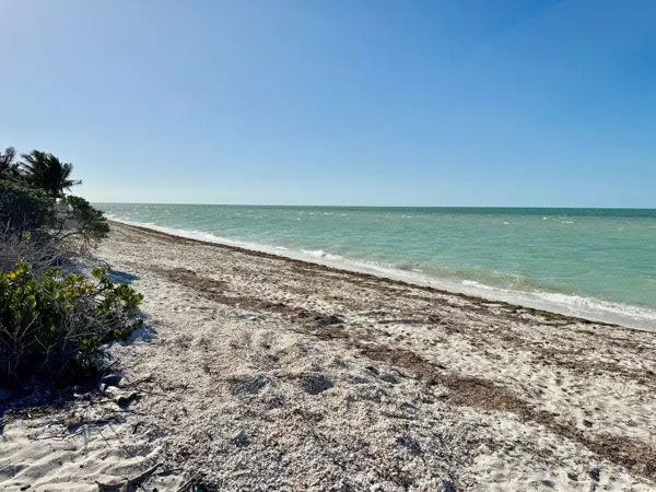 Terreno en venta frente al mar en San Benito — foto 1 de 4