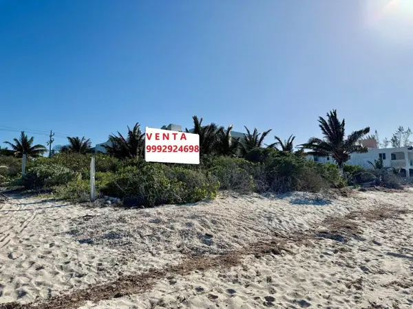 Terreno en venta en San Benito, Dzemul — foto 3 de 4
