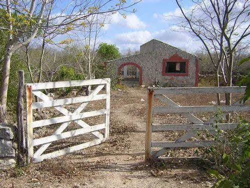 Terreno con cenote de boca grande en Cuzama — foto 1 de 23