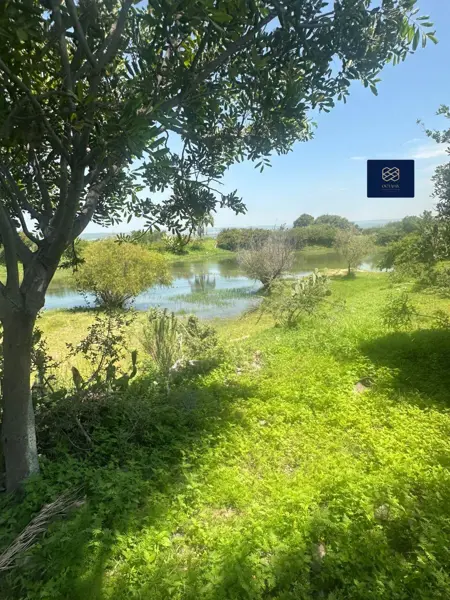 Terreno en venta en Sin colonia, León — foto 3 de 4