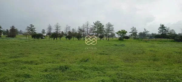 Terreno en El Bosque