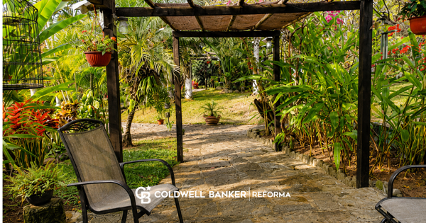 Finca-Rancho en venta en Dos Ríos, Emiliano Zapata — foto 3 de 10