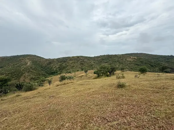 Terreno en venta en Amatitlán de Azueta, Acatlán — foto 3 de 6