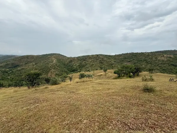 Venta de Terreno de Oportunidad en Acatlán de Osorio, Puebla — foto 1 de 6
