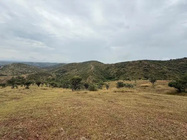 Terreno en venta en Amatitlán de Azueta, Acatlán — foto 2 de 6