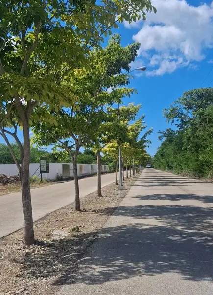 Lote Residencial Premium en Mahal, Conkal, Yucatán — foto 1 de 13