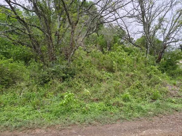 Terreno en venta en Ciudad de Allende Centro, Allende — foto 3 de 4