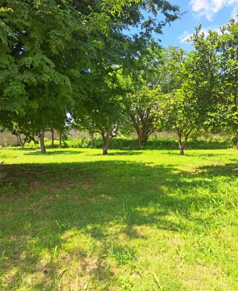 Terreno en venta en Cañaverales, Tepeojuma / 1,100m2 cerca de Atlixco — foto 1 de 5