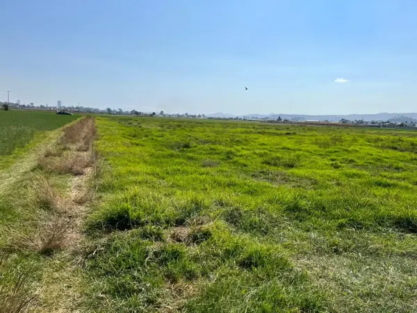 Terreno en venta 10,000m2 en Chipilo / $1,200 m2 — foto 1 de 4