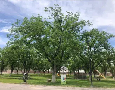Terreno en venta en Las Trojes, Torreón — foto 3 de 3