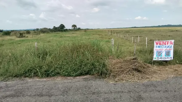 Terreno en venta en El Bayo, Alvarado — foto 2 de 6