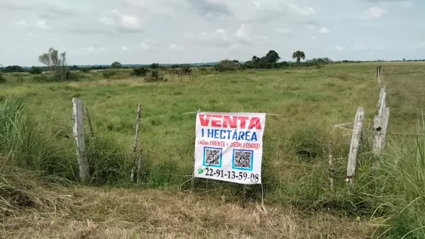 Terreno en venta en El Bayo, Alvarado — foto 3 de 6