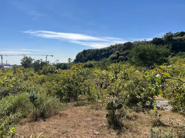 Terreno en venta periferico Ciudad Granja. — foto 1 de 16