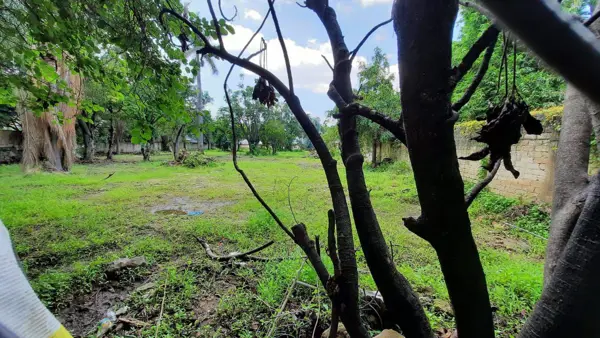 Terreno en venta en Las Fuentes, Zapopan — foto 2 de 12