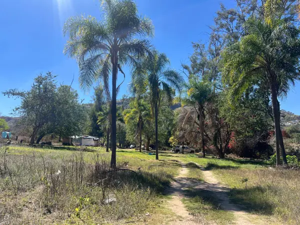 Terreno en venta en Sin colonia, Zapopan — foto 2 de 8