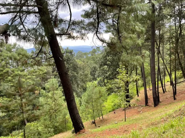 Terreno en venta en Sin colonia, Mazamitla — foto 2 de 21