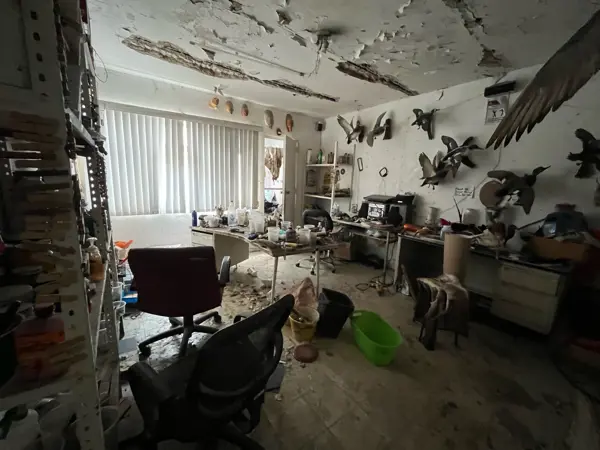 Casa en venta en Chapalita, Guadalajara — foto 3 de 34