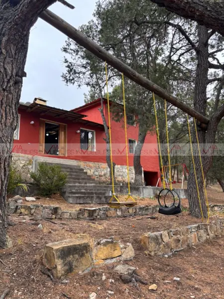 Los lirios — foto 1 de 14