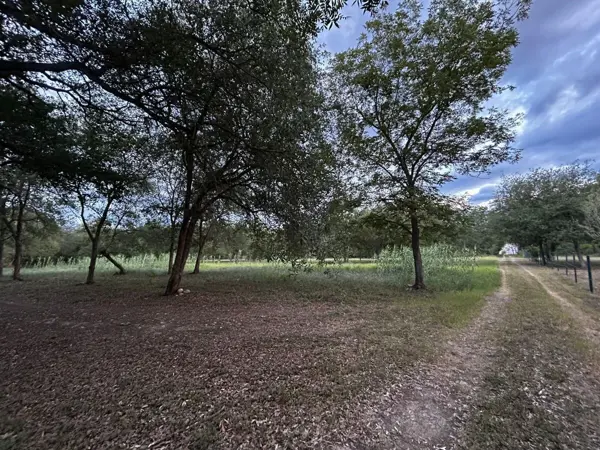 Terreno en Venta en Allende — foto 1 de 10