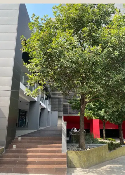 Local en venta en Del Paseo Residencial, Monterrey — foto 2 de 6