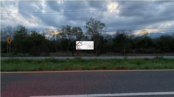 Terreno en venta en Montemorelos Nuevo Leon — foto 1 de 4