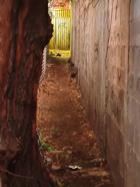 Terreno en venta en Los Reyes, Coyoacán — foto 3 de 14