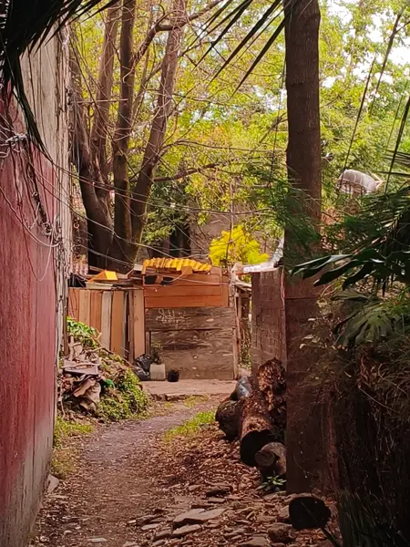 Terreno en venta en Los Reyes, Coyoacán — foto 2 de 14
