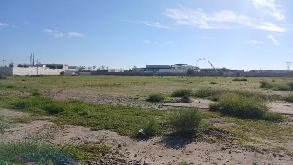 Terreno en Renta o Venta – Torreón — foto 1 de 4