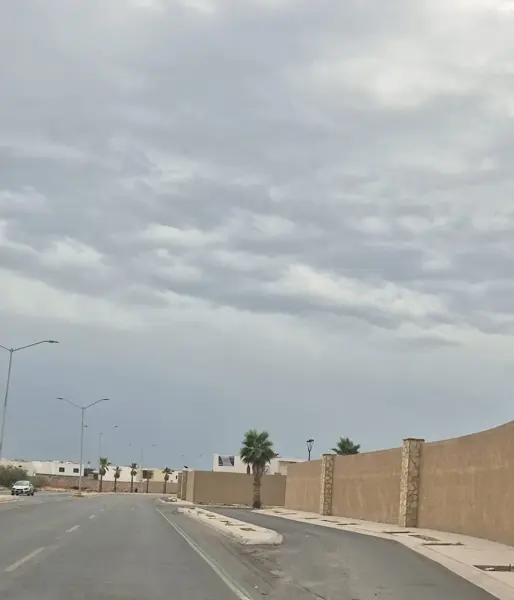 Terreno en venta en Los Viñedos, Torreón — foto 2 de 4