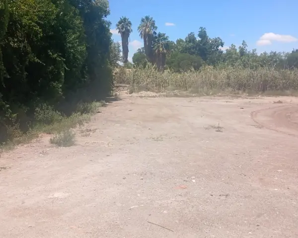 Terreno en venta en De La Tequila, Parras — foto 2 de 4