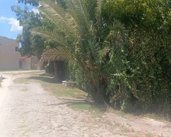 Terreno en venta en De La Tequila, Parras — foto 3 de 4