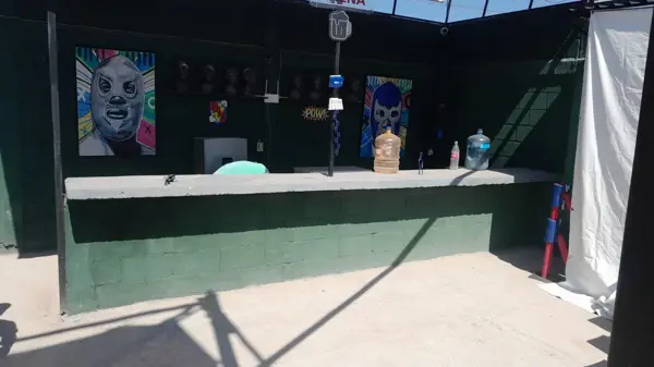 Terreno en venta en Matamoros Centro, Matamoros — foto 3 de 7