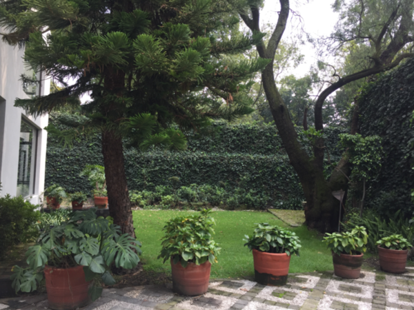 Casa en renta en San Angel, Álvaro Obregón — foto 2 de 24