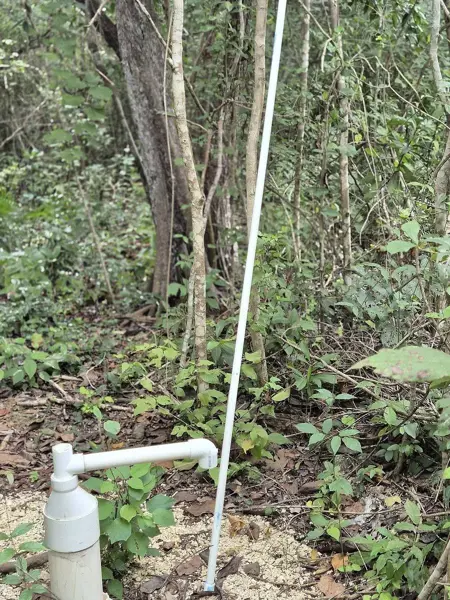 Venta de Terreno en Tulum Region 15 — foto 1 de 5