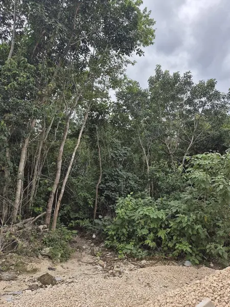 Terreno en venta en Region 15, Tulum — foto 2 de 5