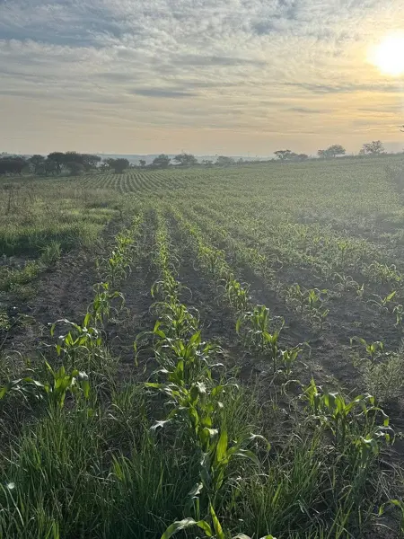 Venta de Terreno en Ejido de Arellano, Aguascalientes — foto 1 de 5