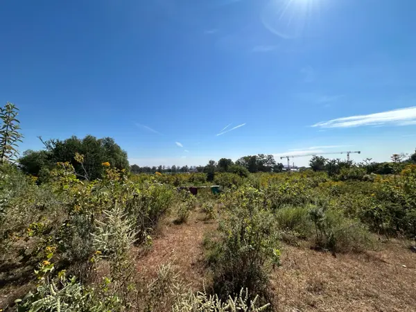 Terreno en venta en Colli Sitio, Zapopan — foto 2 de 16