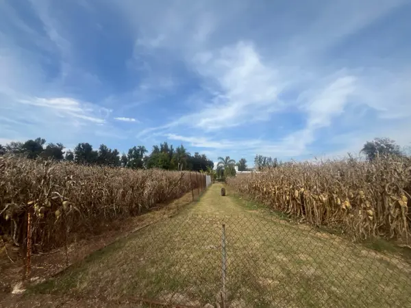 Rancho en Venta en El Salitre Jalisco — foto 1 de 30