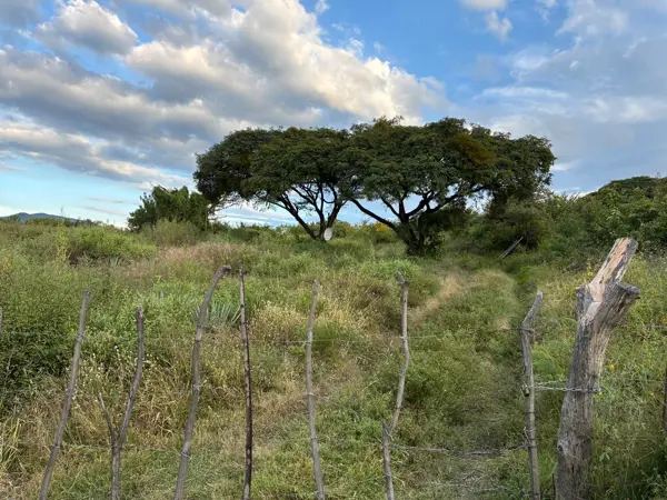 Terreno en venta en Pueblo San Nicolás de Ibarra, Chapala — foto 2 de 16
