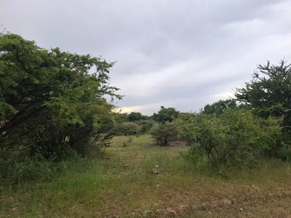 Terreno en venta en El Saucillo de Primavera, Unión de San Antonio — foto 2 de 4